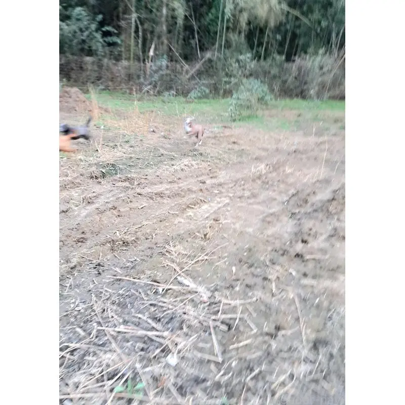 イーサンくん4枚目