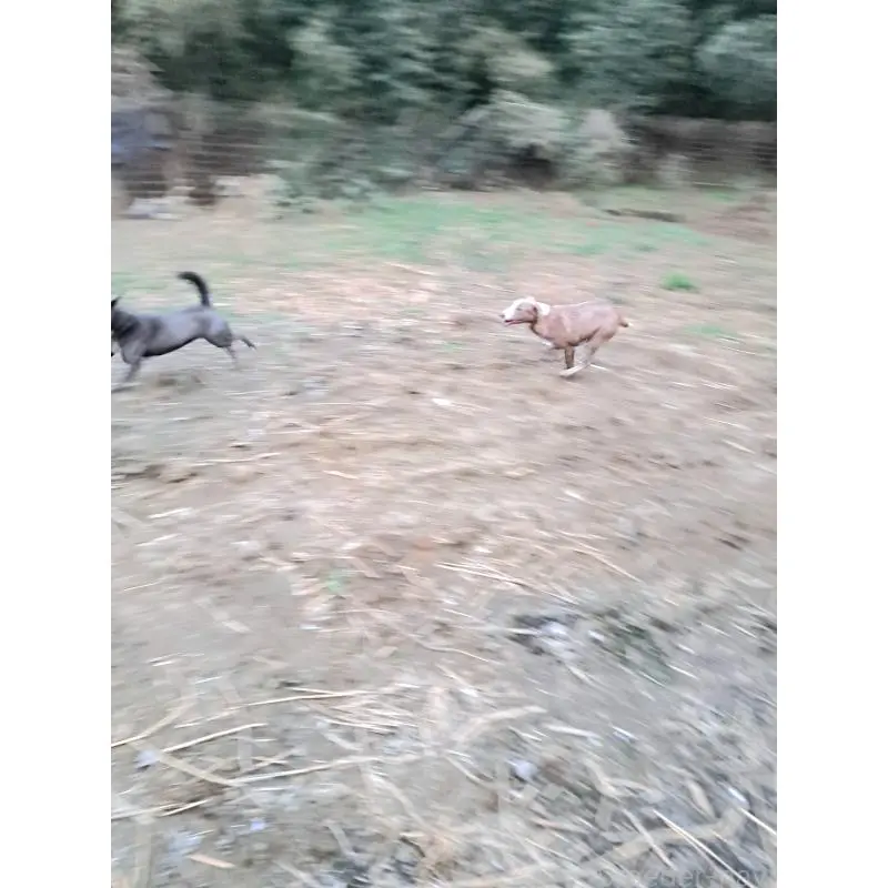 イーサンくん5枚目