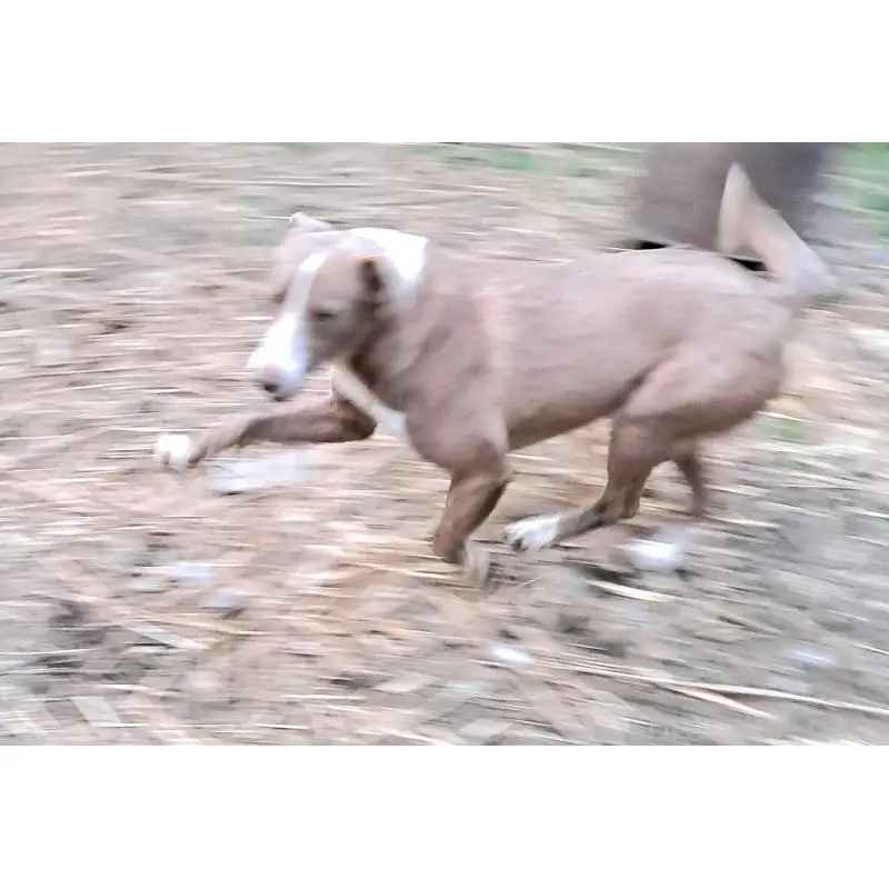 イーサンくん6枚目