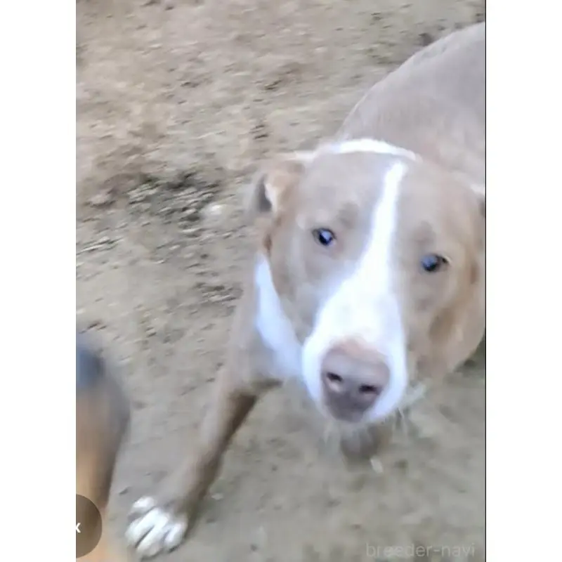 イーサンくん7枚目