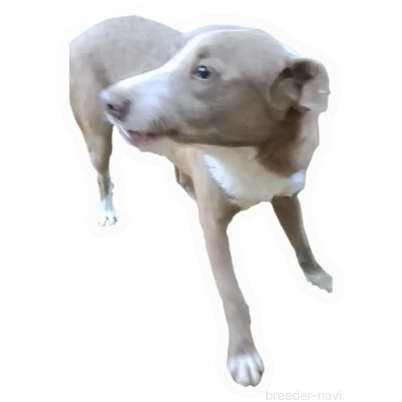 イーサンくん1枚目