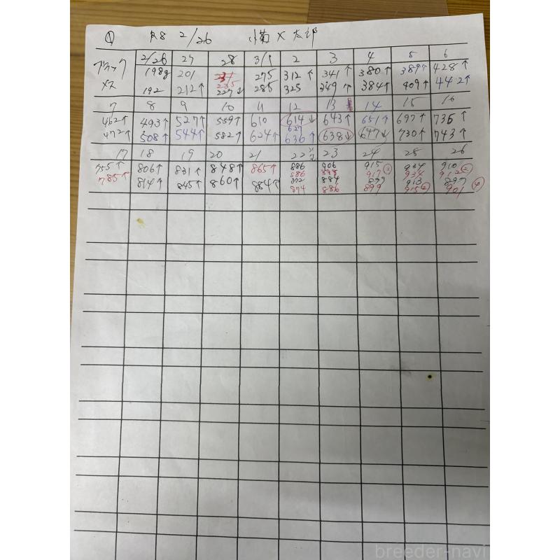 販売中の千葉県のパグ-454700の5枚目