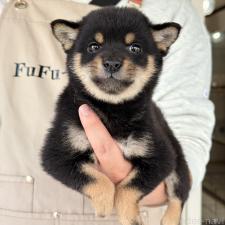 オンライン見学