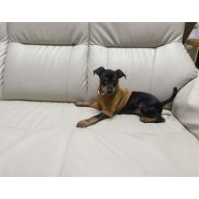 オンライン見学