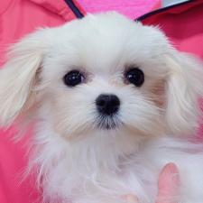 オンライン見学