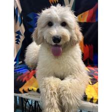 オンライン見学