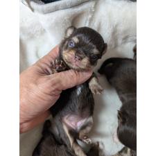 オンライン見学