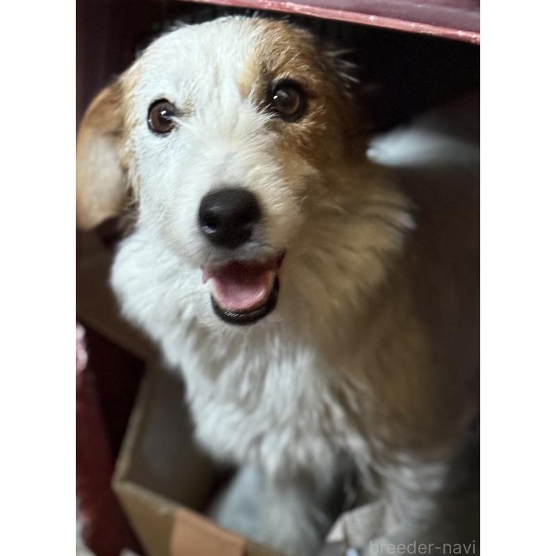 はまこちゃん3枚目