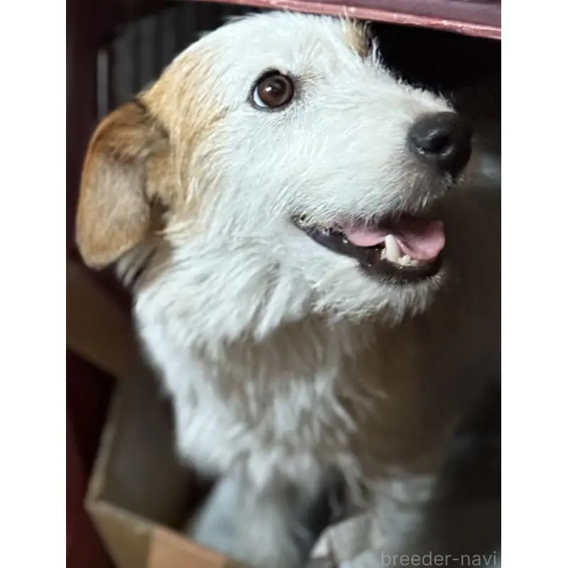 はまこちゃん4枚目