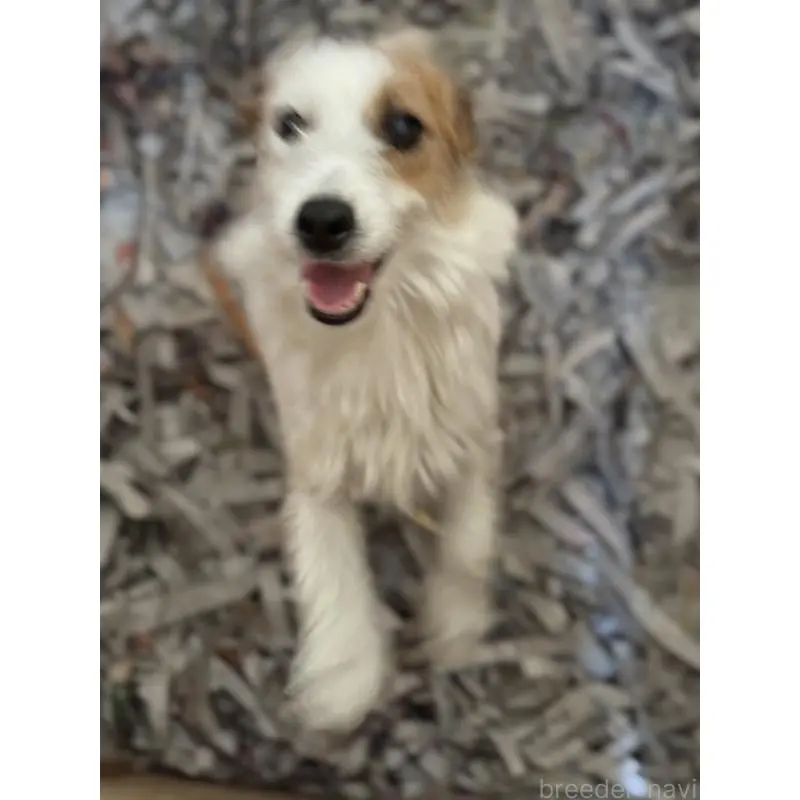 はまこちゃん5枚目