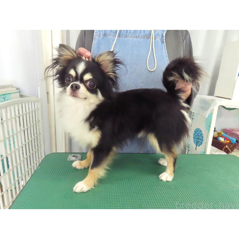 サラミくん2枚目