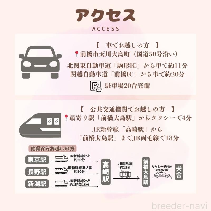 販売中の群馬県のトイプードル-454724の2枚目