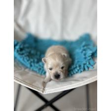 オンライン見学