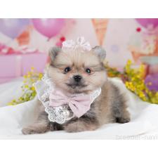 オンライン見学