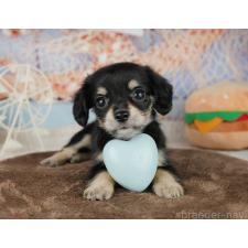 オンライン見学