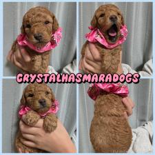 オンライン見学