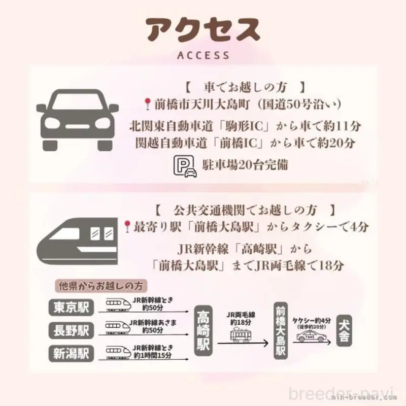 販売中の群馬県のトイプードル-455774の10枚目