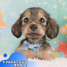 オンライン見学