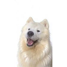 オンライン見学