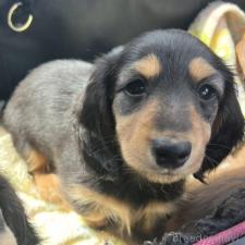 オンライン見学