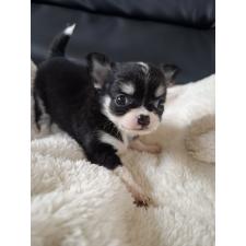 オンライン見学