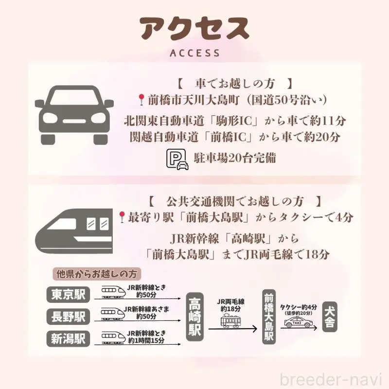 販売中の群馬県のトイプードル-455767の2枚目