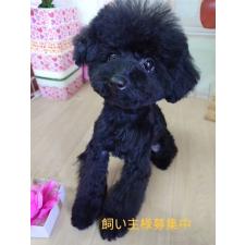 オンライン見学