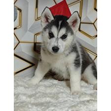 オンライン見学