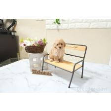 ♀︎タイニープードル