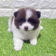 オンライン見学