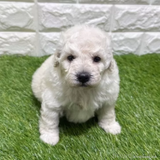 オンライン見学