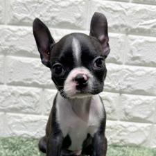 オンライン見学