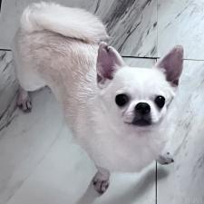 オンライン見学