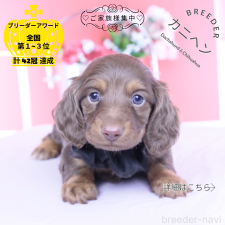 オンライン見学