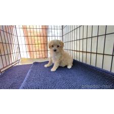 オンライン見学