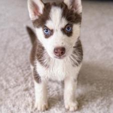 オンライン見学