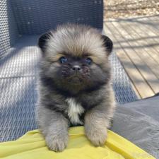 オンライン見学