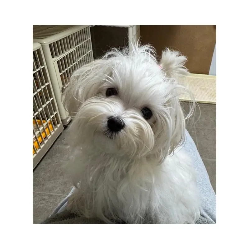 リリーちゃん2枚目