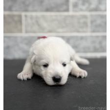 オンライン見学