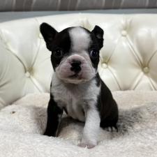 オンライン見学