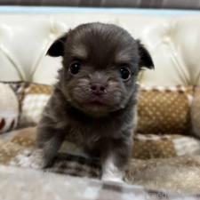 オンライン見学