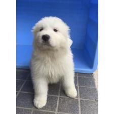 オンライン見学