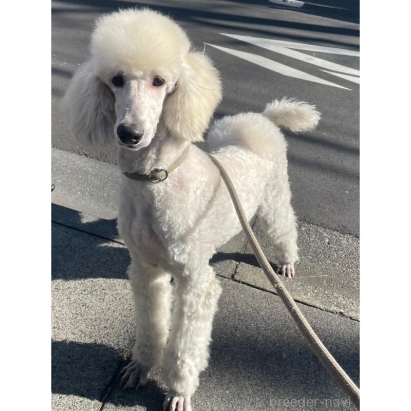 ロサちゃん5枚目