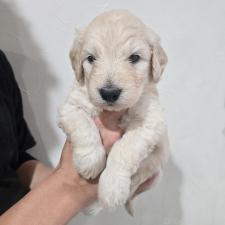 オンライン見学