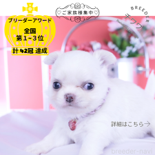 オンライン見学