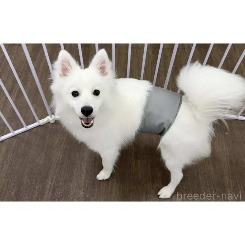 ライスくん2枚目