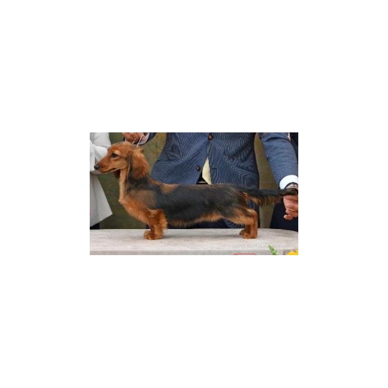 エリミちゃん1枚目