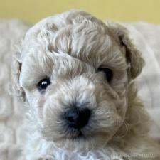 オンライン見学