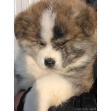 オンライン見学