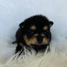 オンライン見学